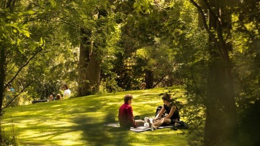 Rapport cannois du développement durable 2019 : des actes pour protéger la ville et la planète 