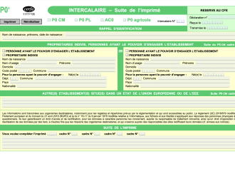 Formulaire intercalaire P0' : suite des imprimés P0 CMB, AC0 et P0 PL 