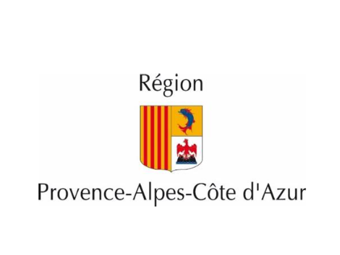 Désignation des Vice-prés