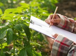 Élection des membres de la chambre d'agriculture des Alpes-Maritimes 2025 : dates et modalités de dépôt des listes candidates