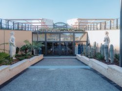 À Nice, la bibliothèque Louis Nucéra a fait peau neuve 