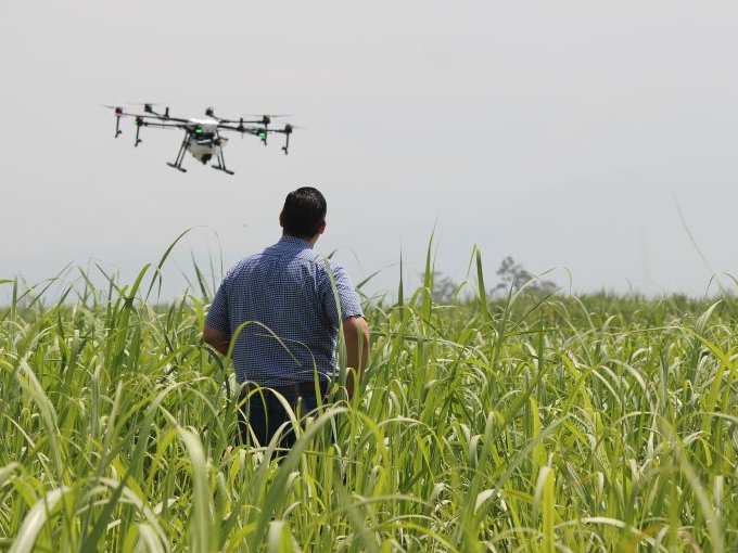 Technologies : les paysan