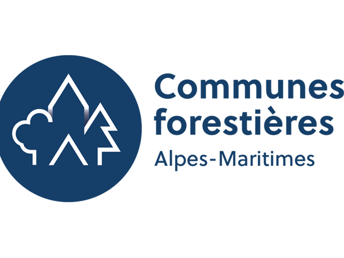 Forêt, climat, énergie :