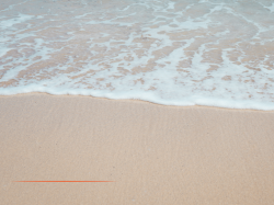 AVIS D'ENQUÊTE PUBLIQUE : Attribution de la concession de la plage artificielle de Carnolès à Roquebrune-Cap-Martin