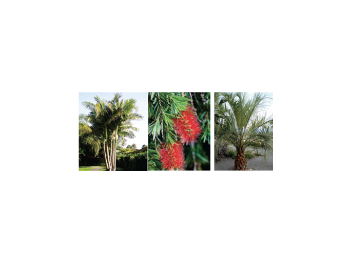 Nice : Campagne annuelle
