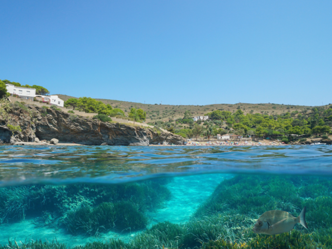 Aménagement du littoral