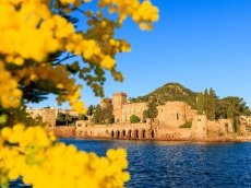 Tourisme et congrès : Mandelieu signe une performance record en 2025 et renforce son attractivité