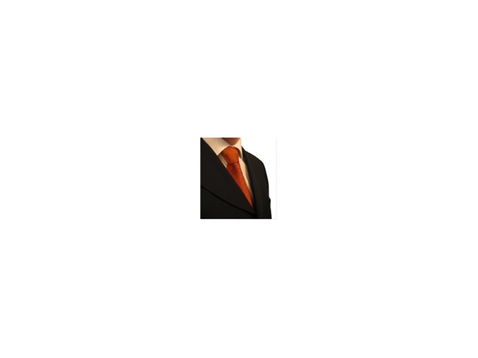 CDD de remplacement : (…)