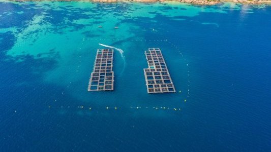Aquafrais Cannes modernise sa production avec une nouvelle ferme aquacole en mer