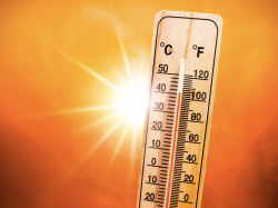 Canicule : + 2 800 morts cet été en France