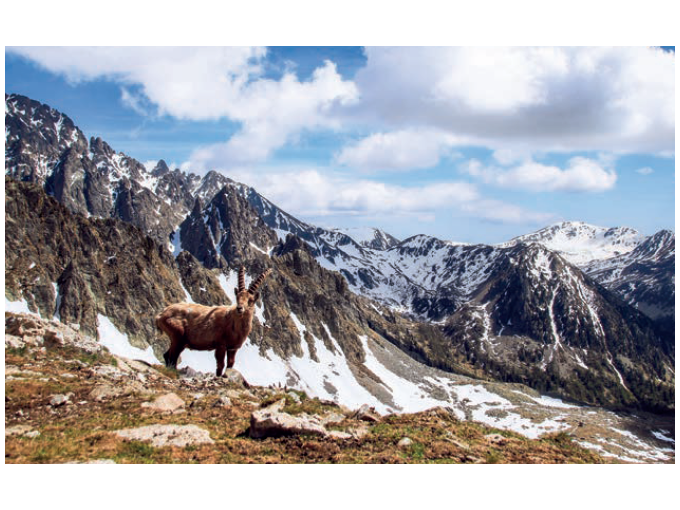 Le Mercantour attend (…)