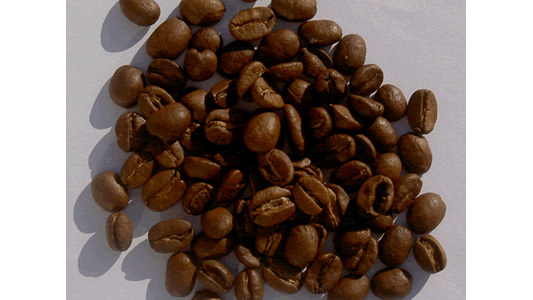 Café : la guerre en capsules 