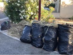 Le tri des déchets en léger recul en région Sud 