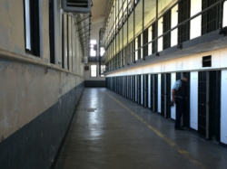 Prisons : la chèvre et le chou
