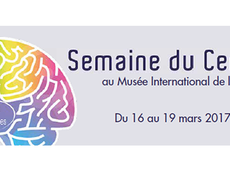 Tout tout tout, vous saurez tout sur le cerveau !
