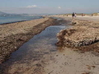 À Hyères, un littoral préservé pour un été réussi