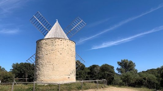  Des travaux de normalisation de débroussaillement des pistes à Porquerolles