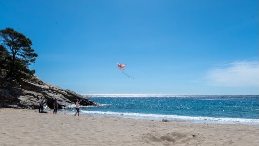 Cavalaire-sur-Mer lutte contre l'érosion des plages
