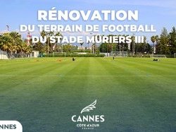 Stade des Mûriers III : la mairie installe une pelouse de haute qualité 