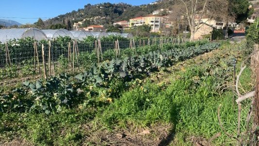 Agriculture : Les Alpes-Maritimes s'offrent une vitrine à Paris