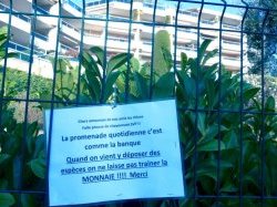 Veni, vidi.. VITE DIT ! par J-M Chevalier