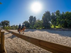 Cannes : Une nouvelle aire équestre dédiée à l'entraînement de la brigade municipale