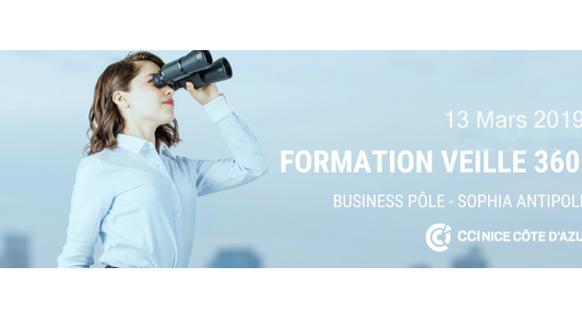 Formation CCI NCA : "Faire de la veille comme les grandes entreprises... C'est possible !" le 13 mars