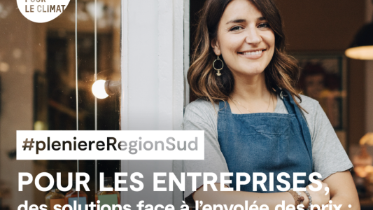 Plénière Région Sud : de nouvelles aides pour soutenir les entreprises 