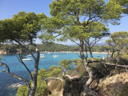 Assureurs et Parcs nationaux : la prévention des risques dans le Parc national de Port-Cros