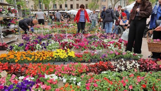 À La Garde, la Foire aux Plants a célébré le printemps