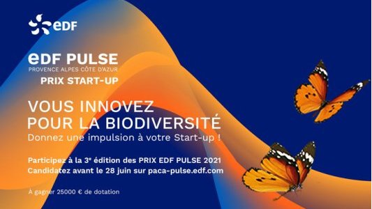 Prix EDF Pulse 2021 en Provence Alpes Côte d'Azur : candidatures ouvertes 