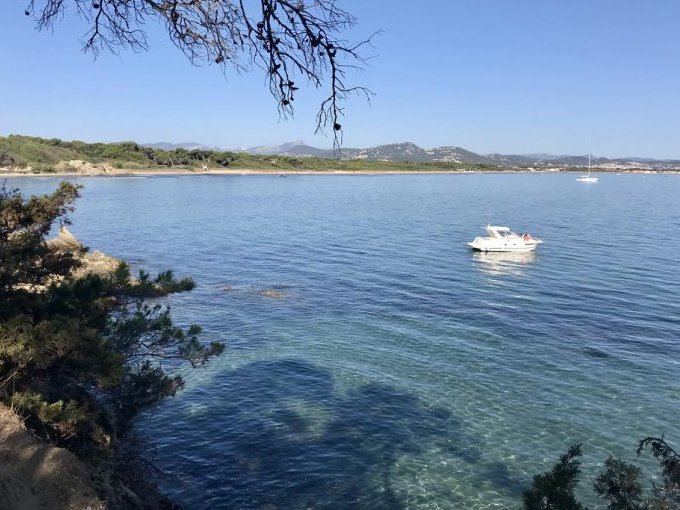 En Méditerranée, des (…)