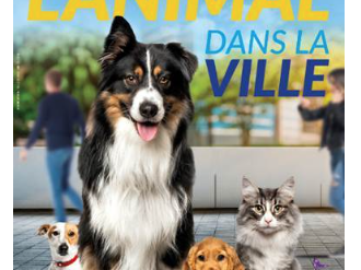 Nice accueille le 1er colloque national l'« Animal dans la ville »