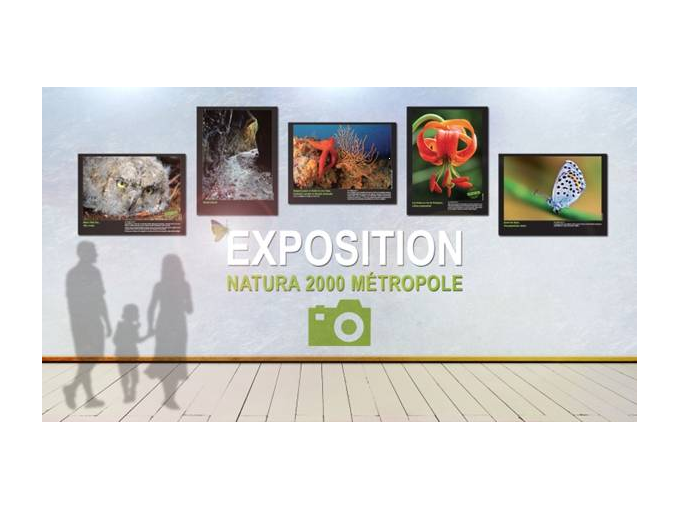 Venez découvrir l'exposit