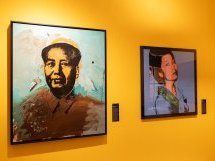  Un voyage au cœur de l'univers d'Andy Warhol