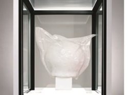 Musée océanographique de Monaco : exposition The Littoral Zone