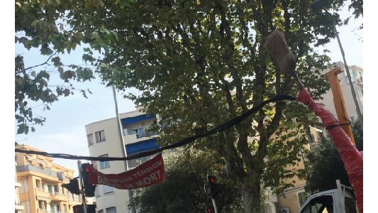 Veni, vidi.. VITE DIT ! 