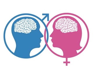 Conférence Femmes 3000 : "Cerveau sexué : mythes et réalités, Comment se construit notre cerveau ?"