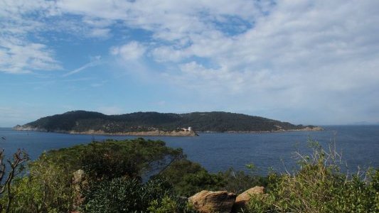 Le Parc de Port-Cros partage un nouvel outil narratif avec ses partenaires