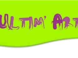 Ultim'Art : Appel à projet Artiste édition 2013