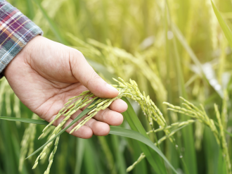 Agriculture : des permanences ouvertes dans les Alpes-Maritimes
