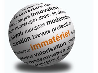 Les actifs immatériels : quel atout pour les territoires ?
