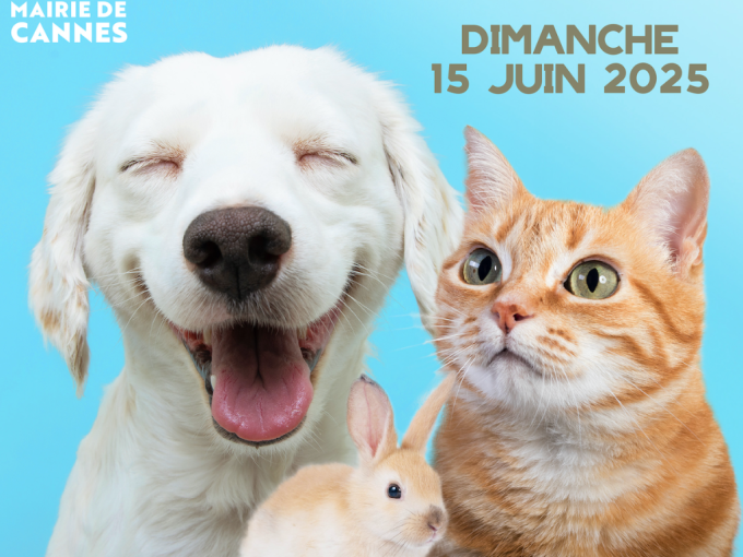 Cannes : une journée (…)