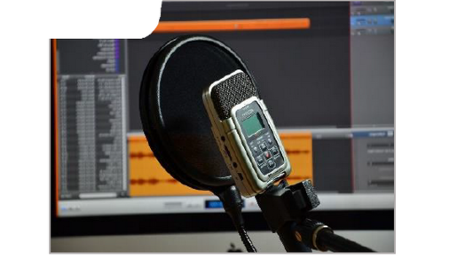 "Des forêts et des Hommes", diffusée chaque mercredi sur trois radios locales