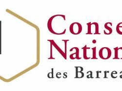 Journée d'action du Conseil National des Barreaux : le gouvernement doit « tenir d'urgence ses engagements ».