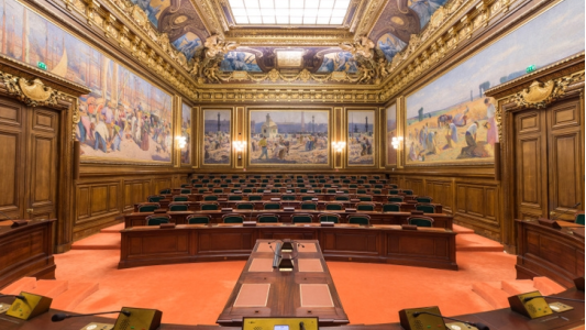 Consultation du CSE : l'Etat a outrepassé ses pouvoirs