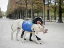 HANDI'CHIENS investit 2,7 millions d'€ pour son 6ème centre