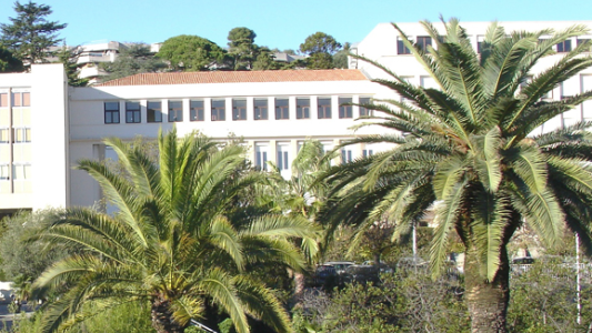 Le rôle de l'Université dans l'économie du territoire