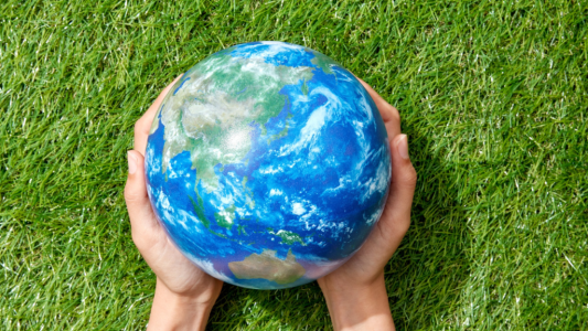 Prêts verts : levier stratégique pour la transition écologique des entreprises