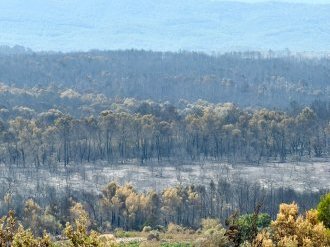 Face aux incendies, Cannes débloque 50 000 euros et propose un appui matériel aux communes sinistrées